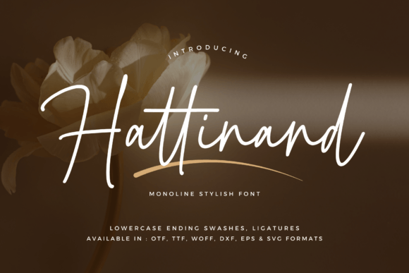 Hattinand: The Sleek Script for Modern Branding