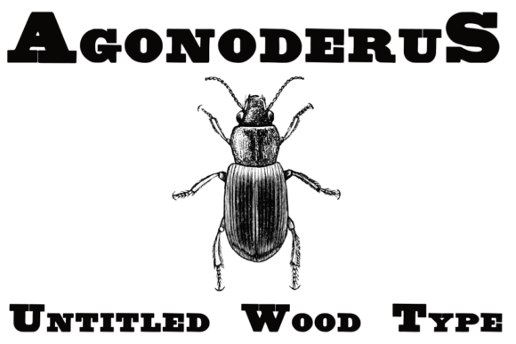 Untitled Wood Type: A Serif Font Steeped in History